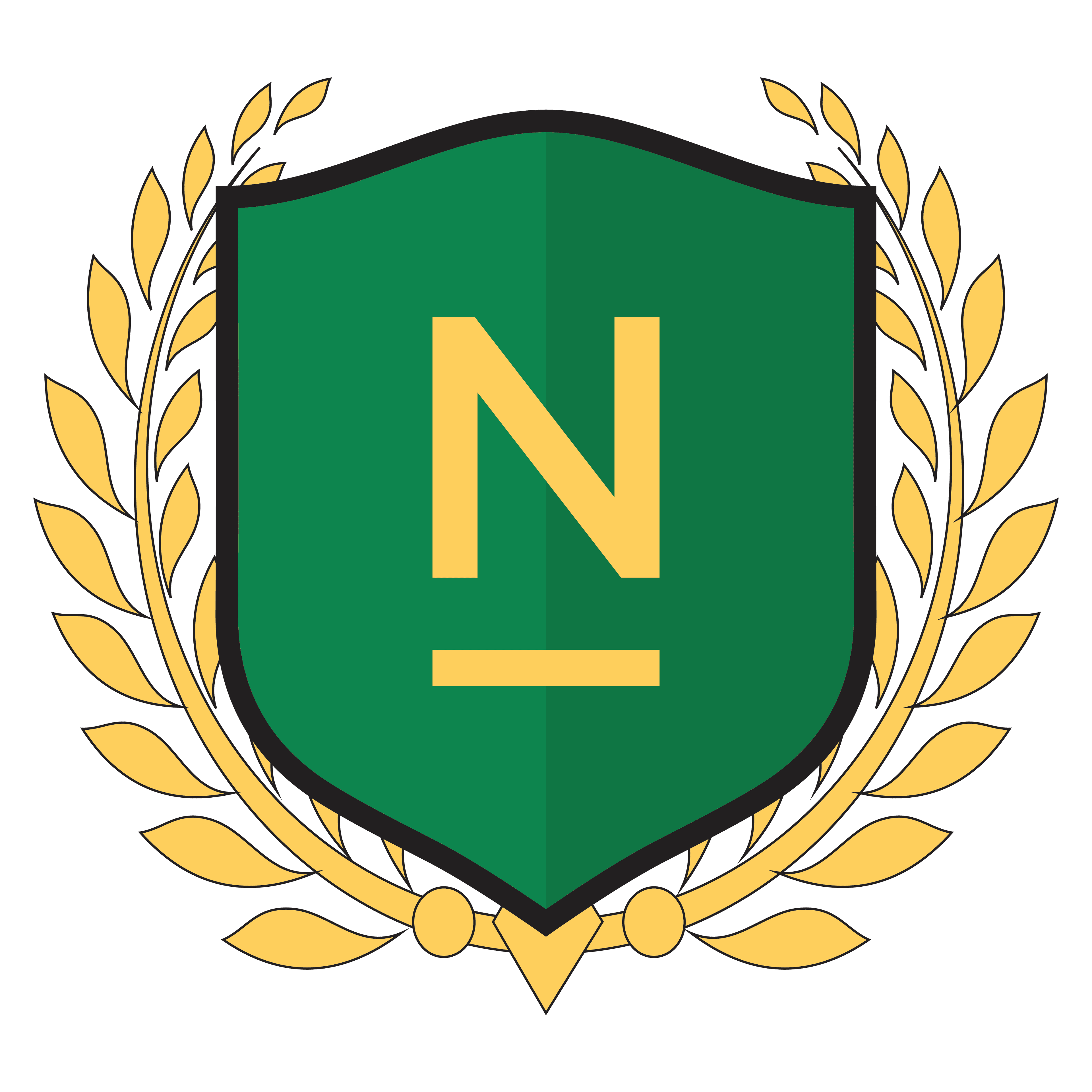 Namal Institute Mainwali team logo