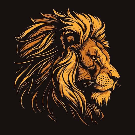DHA Lions