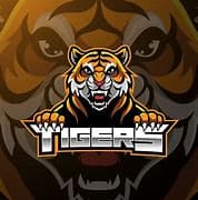 insaf Tigers team logo