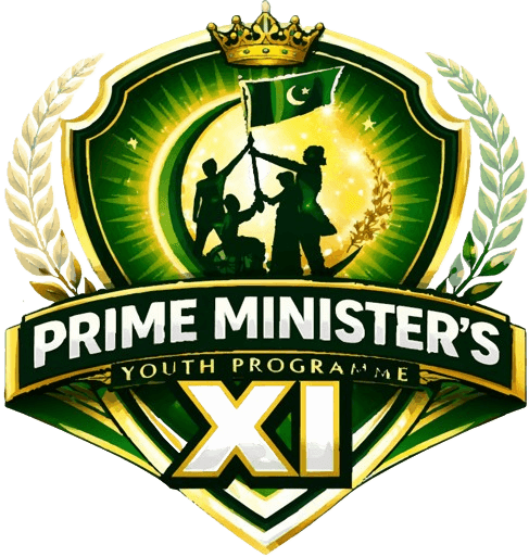 Hassan Liaquat team logo