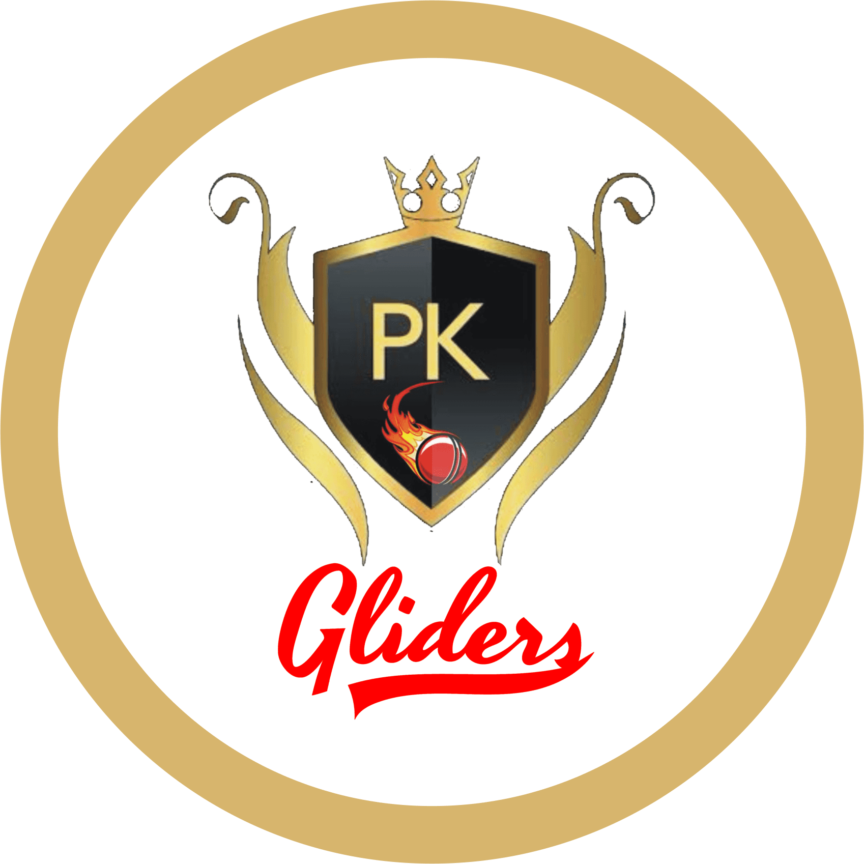 Kiran Deshmukh team logo