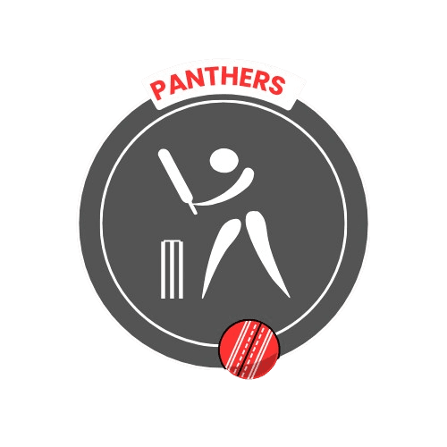 Panthers team logo