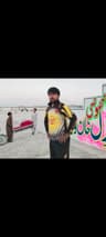 Iqbal