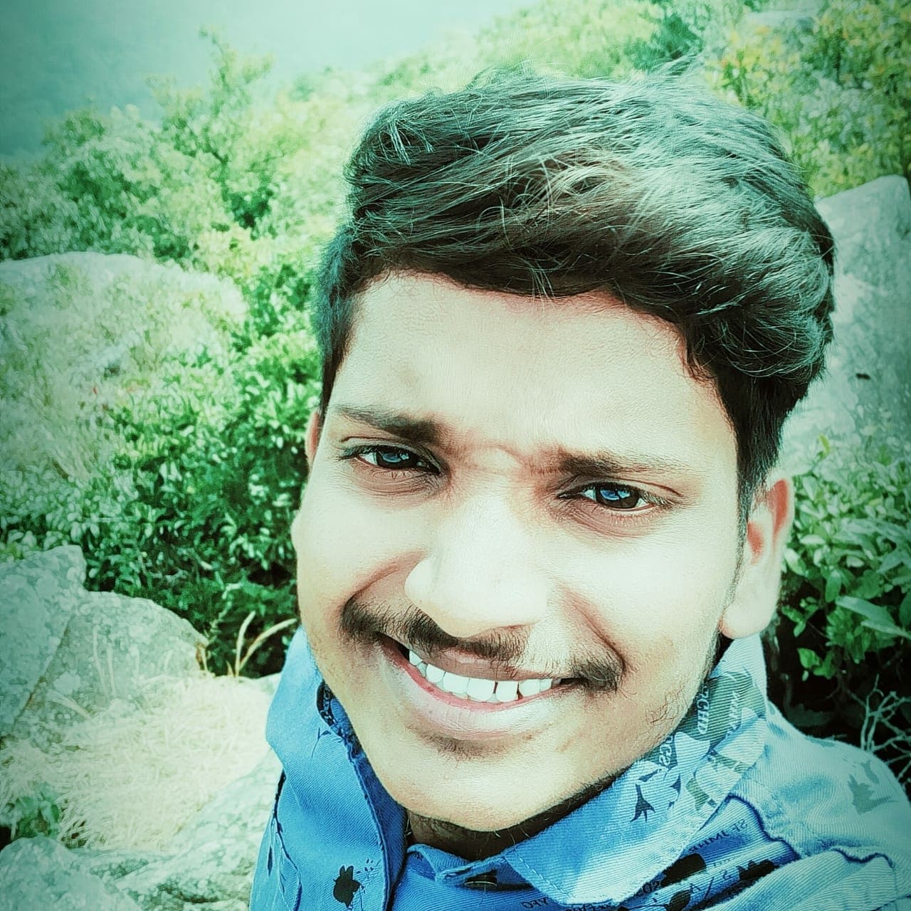 Pavan