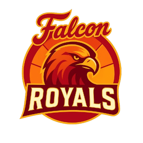 Talha Alam team logo