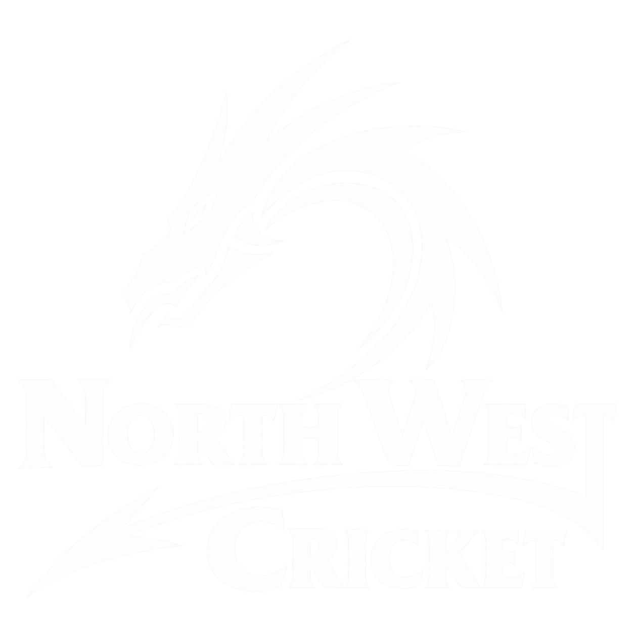 North West Dragons team logo