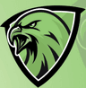 Falcons