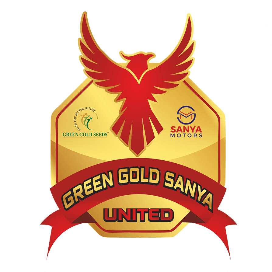 Green Gold Sanya United team logo