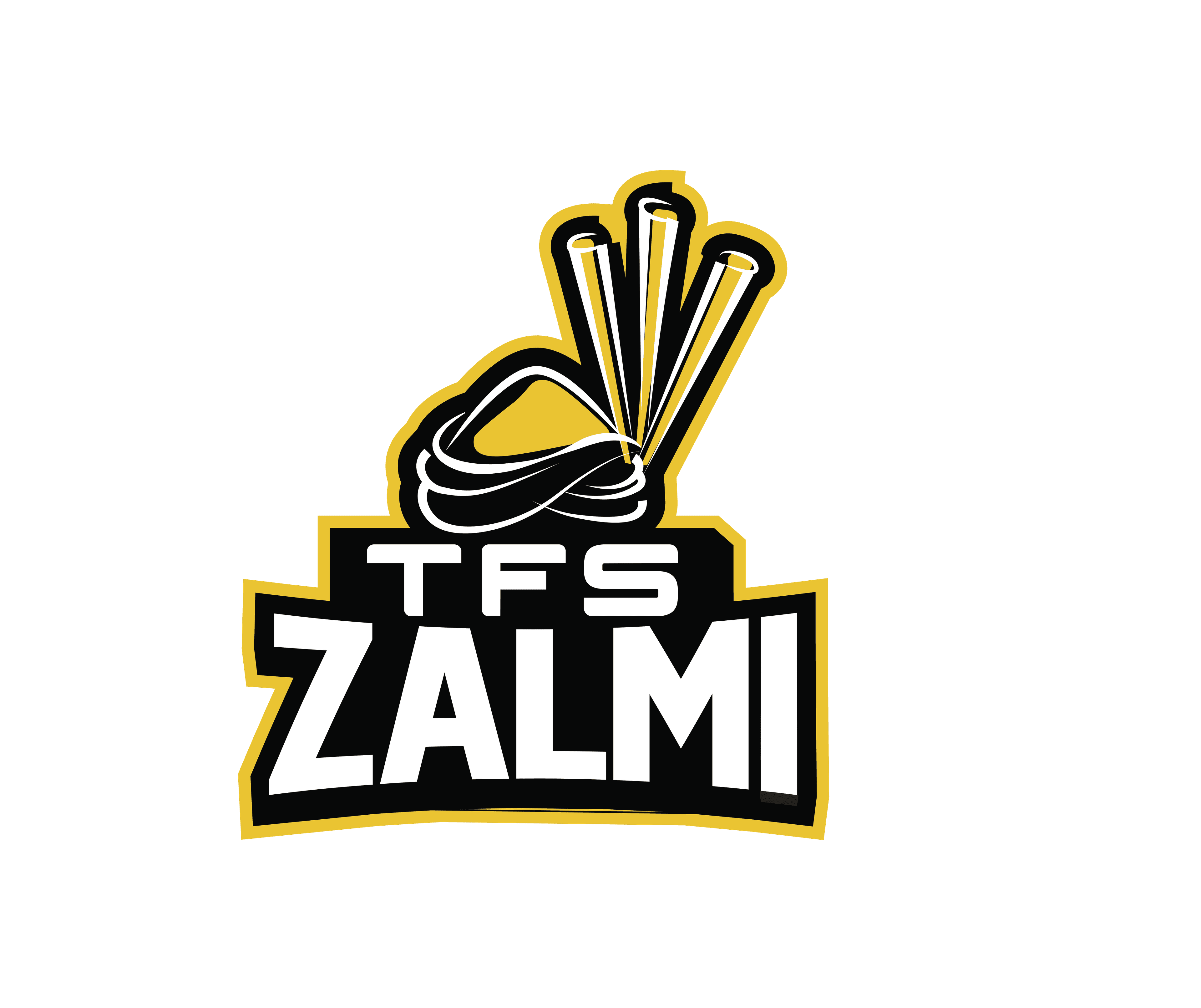 TFS ZALMI