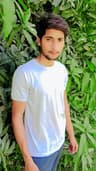 AREES MALIK