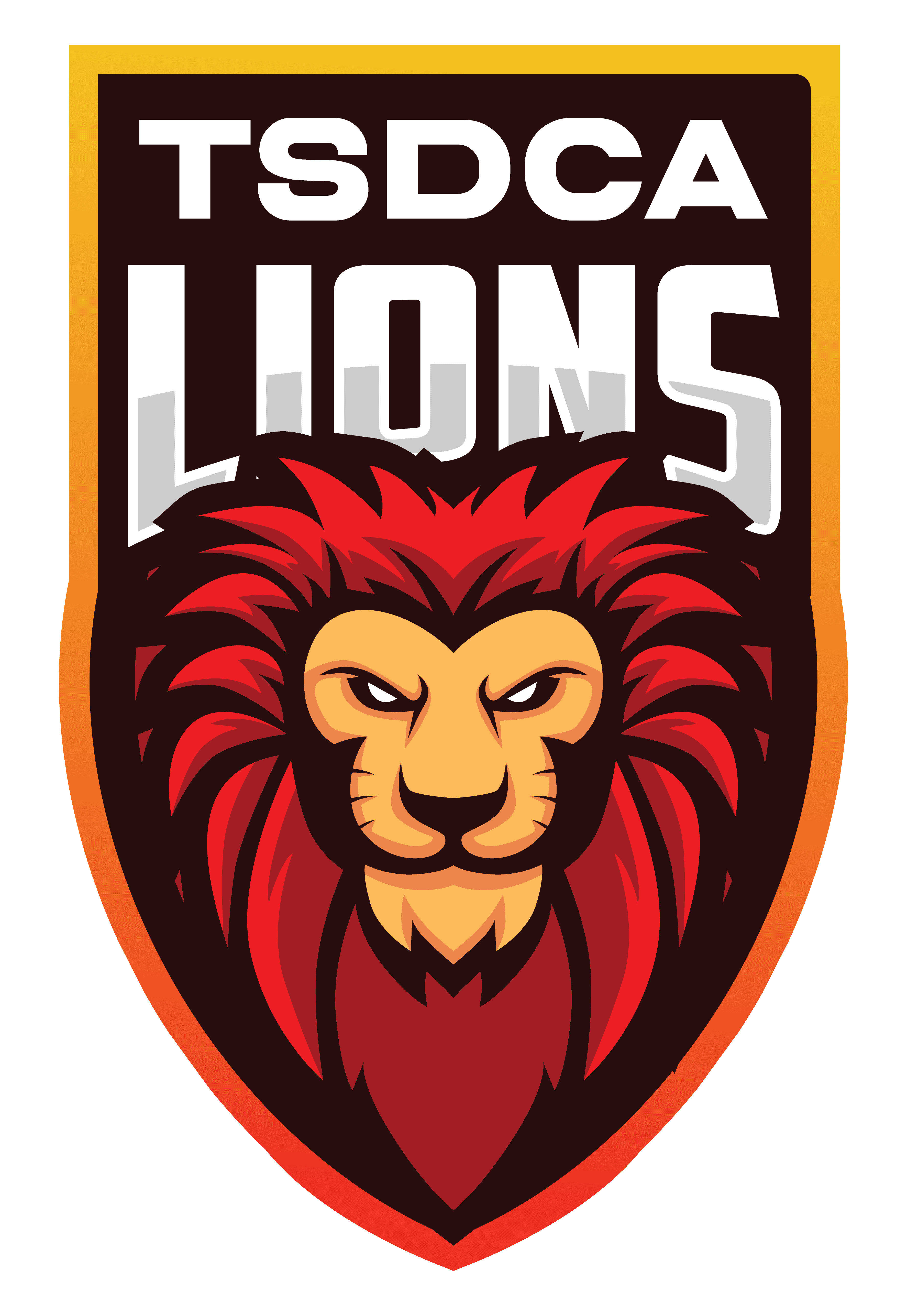 TSDCA LIONS