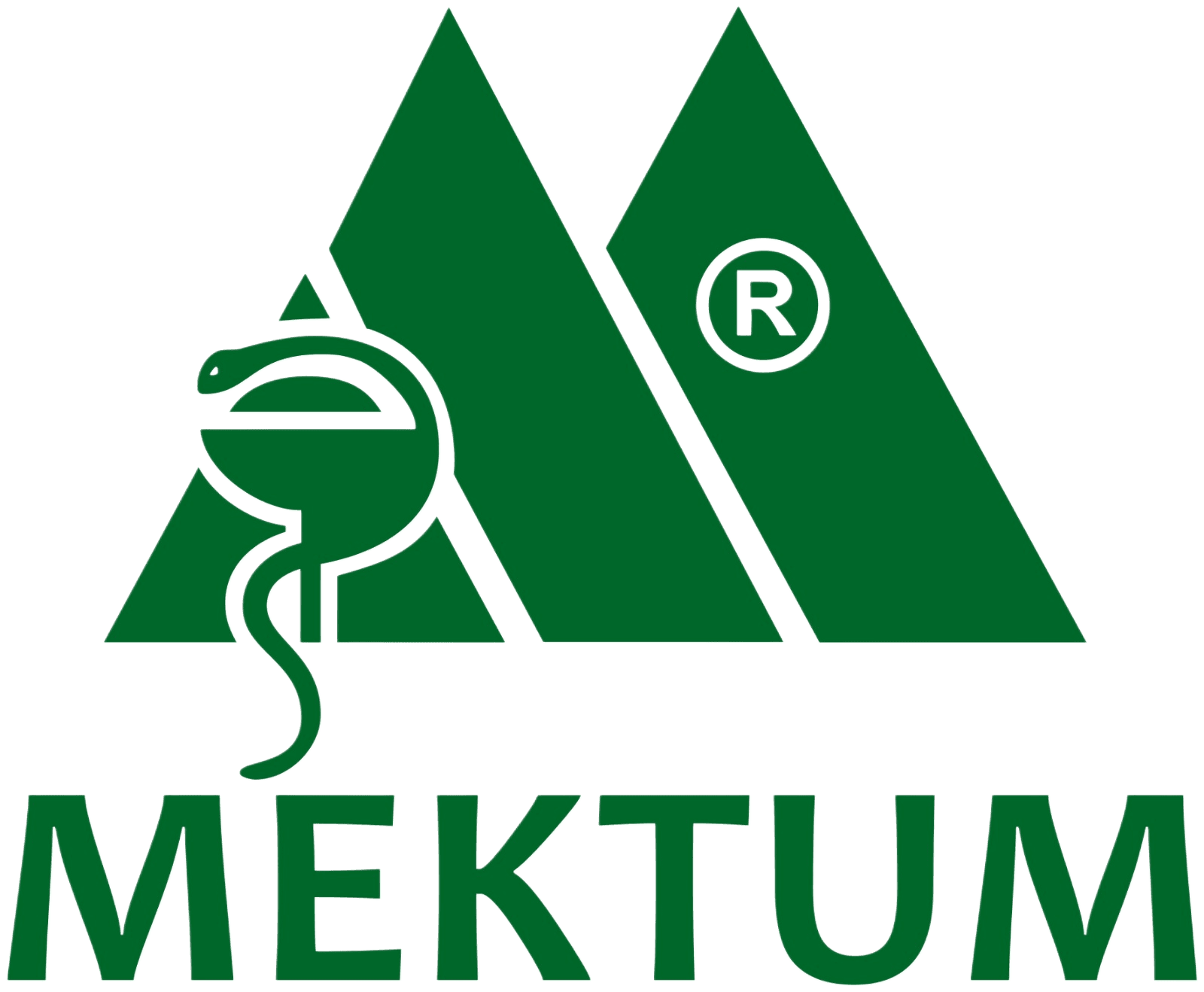 Mektum team logo