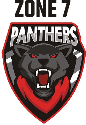Panthers team logo