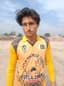 Meva Gul