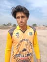 Meva Gul