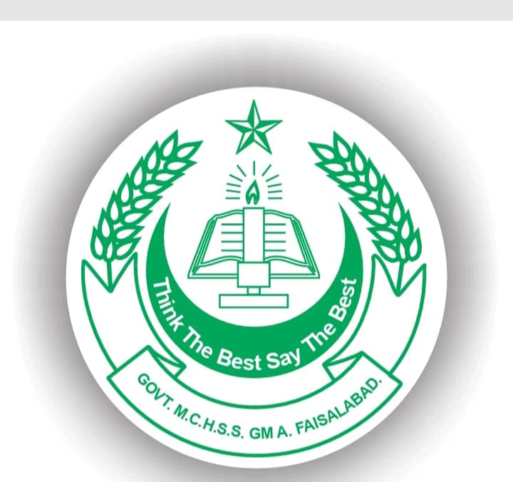 MC HIGH SCHOOL GM ABAD FAISALABAD team logo
