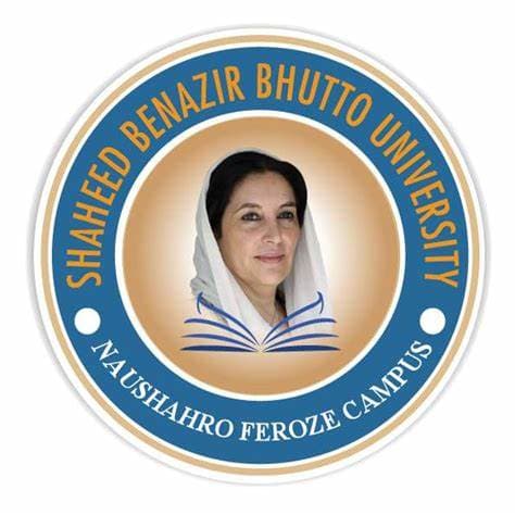 Shaheed Benazir Bhutto Women University team logo