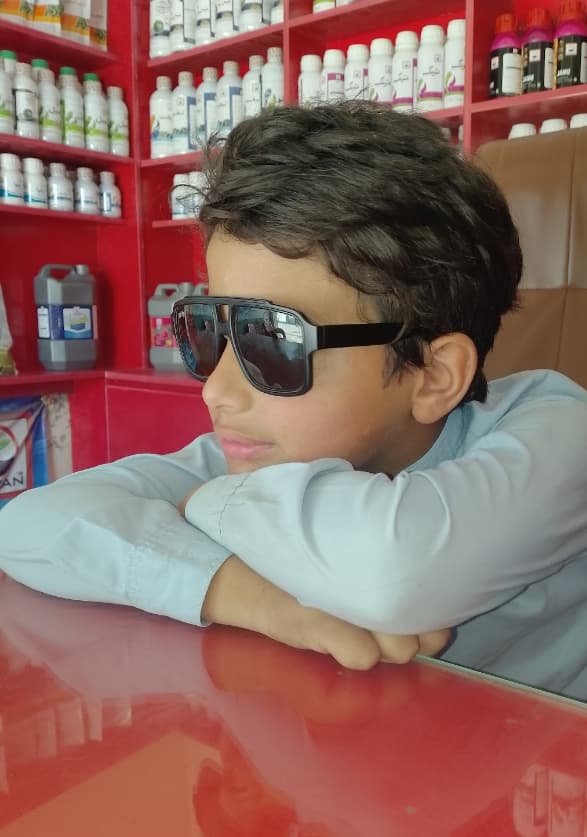Mohid