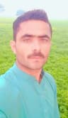 Warner Pahore