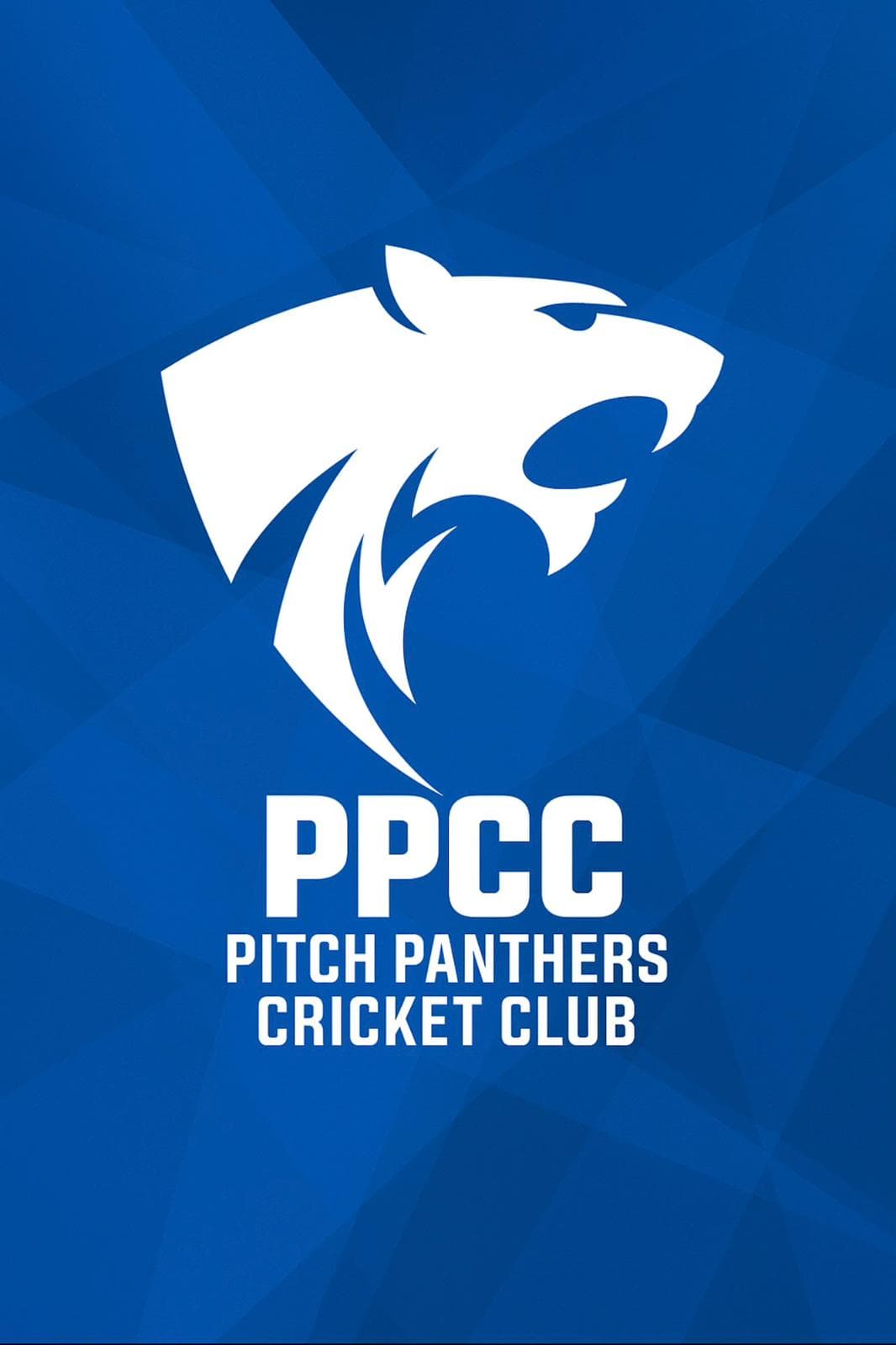 Pitch Panthers