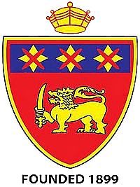 Nipun Dhananjaya team logo