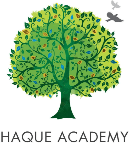 Haque Academy team logo