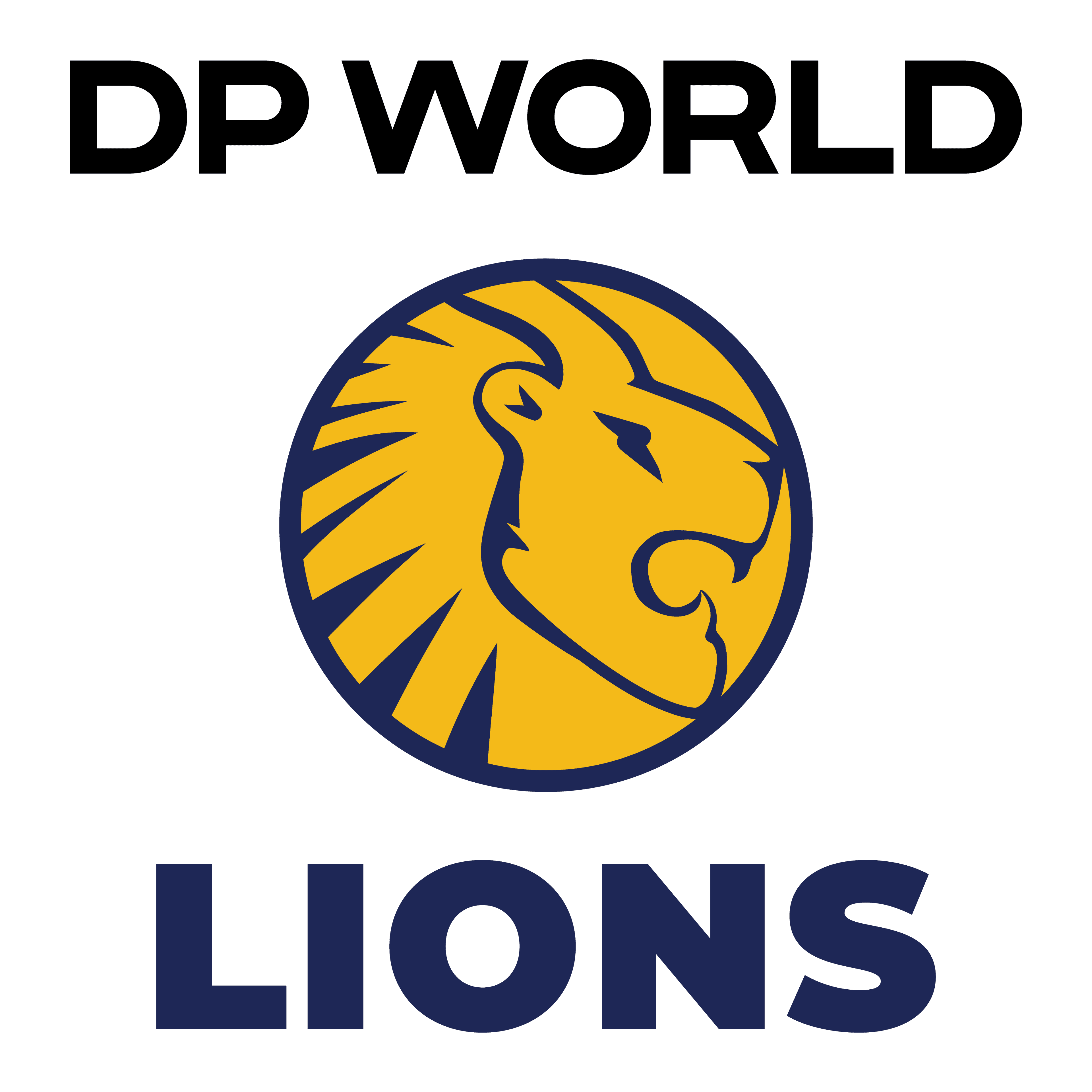 DP World Lions team logo