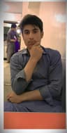 Ali_gull