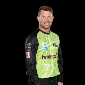 David Warner cricket player profile photo