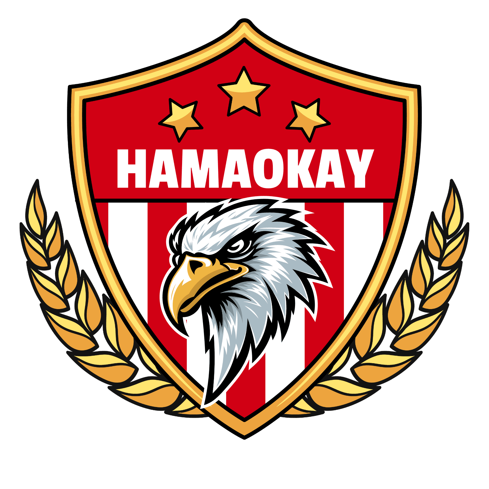 Noman Shah team logo