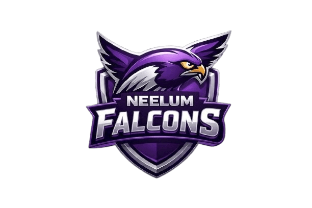 Neelum Falcons