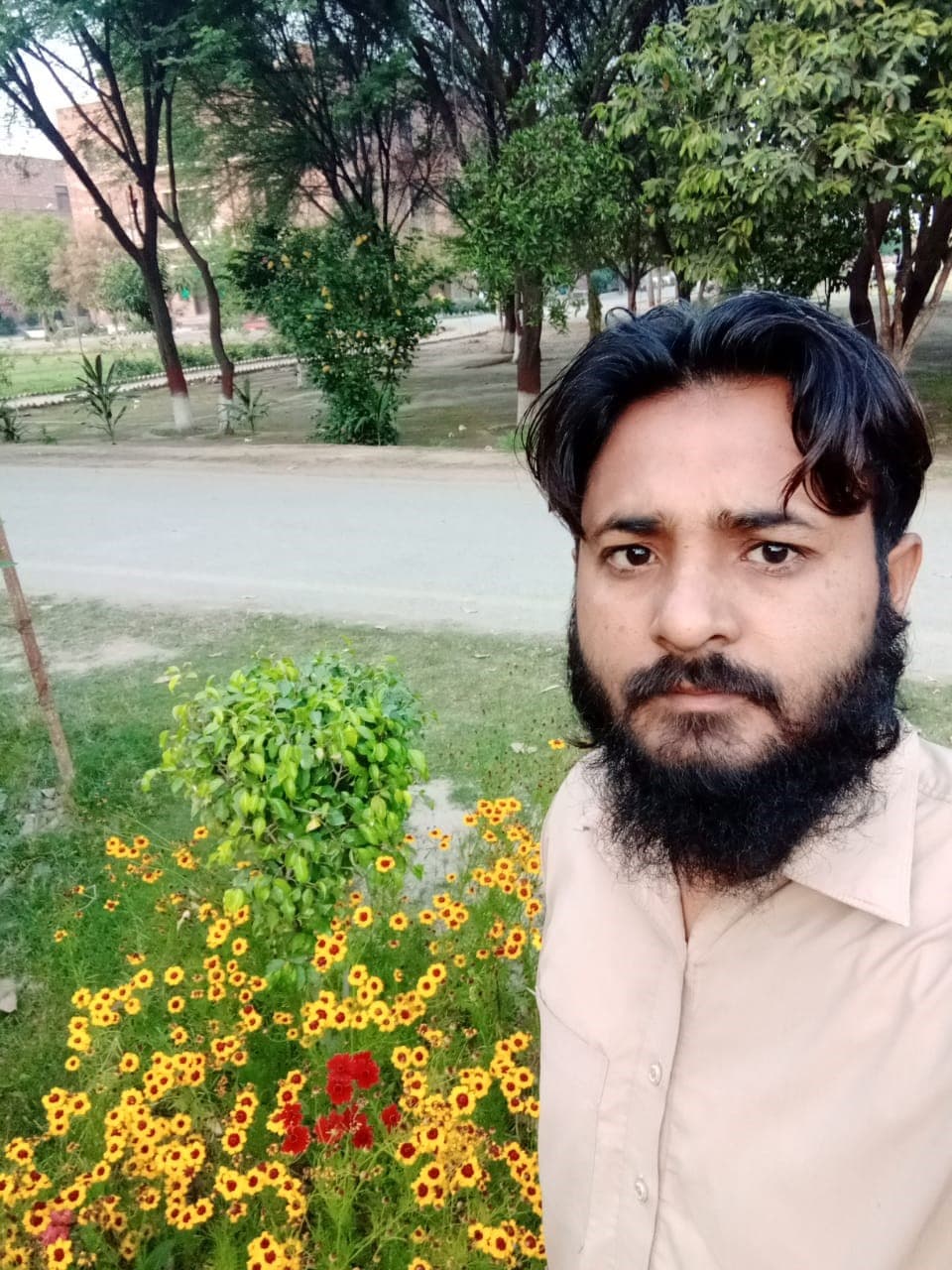 Sajjad Anwar