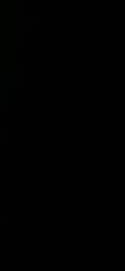 Test cricket player profile photo