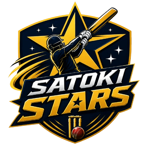 Satoki Stats