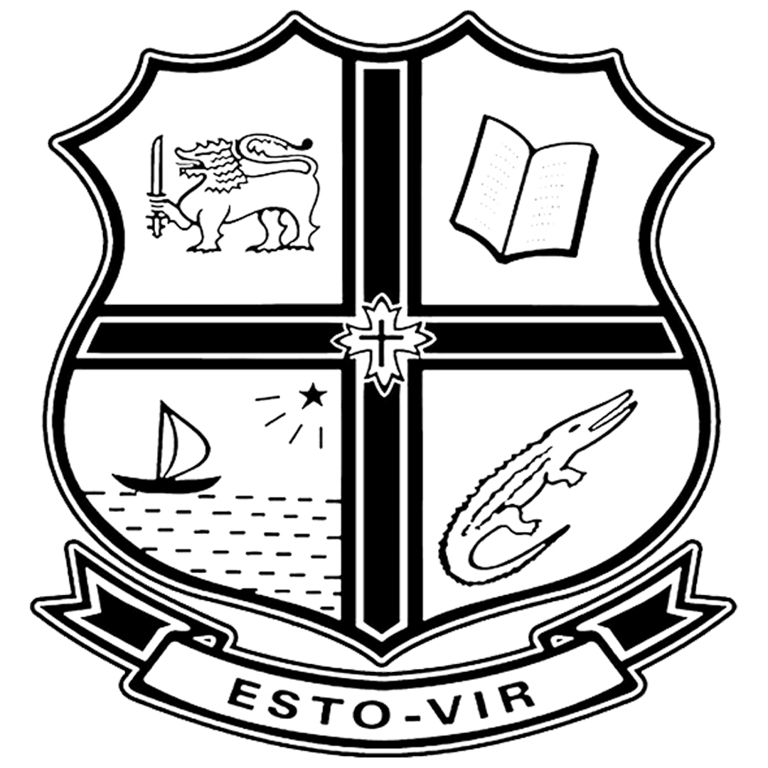 Viran Chamuditha team logo