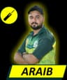 Araib Mehmood