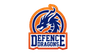 Defence Dragons
