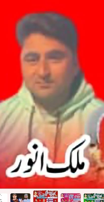 Malik Anwar