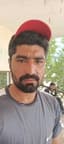 M Shoaib