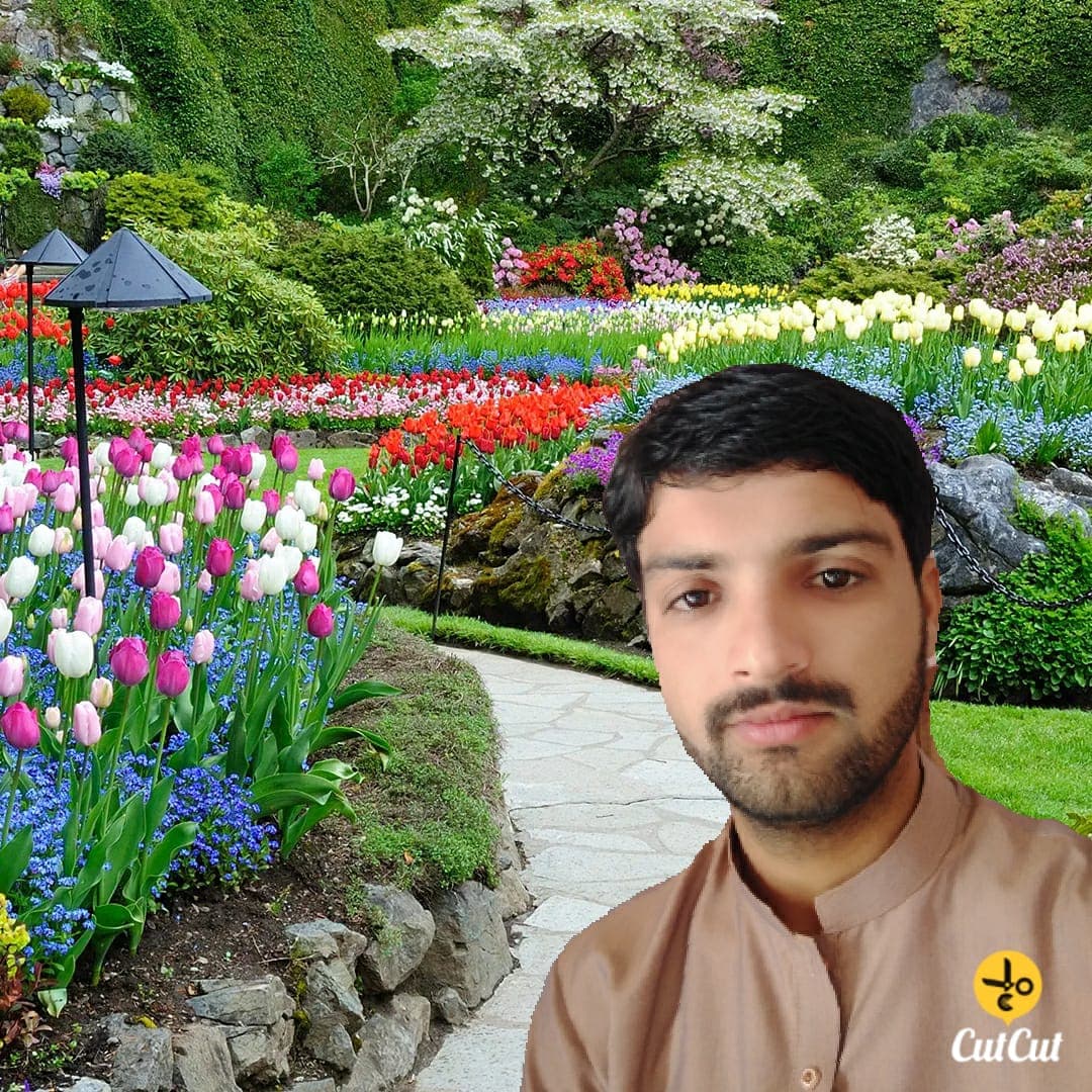 Parveez