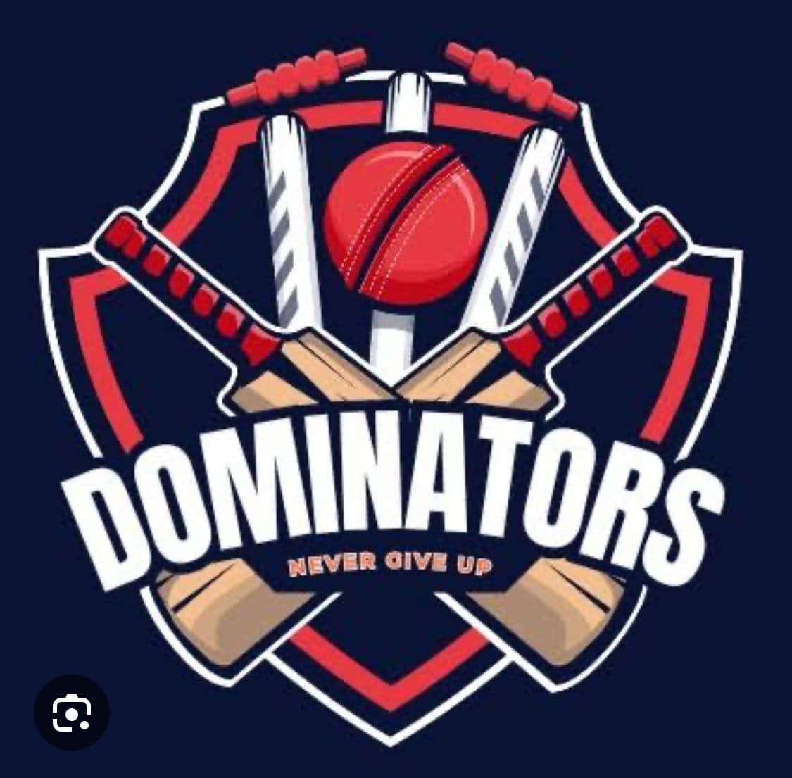 Dominators XI team logo