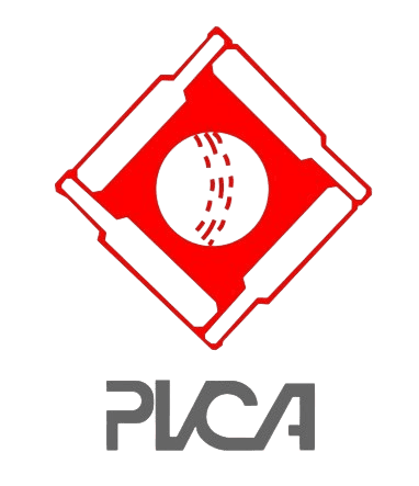 Pakistan Green team logo