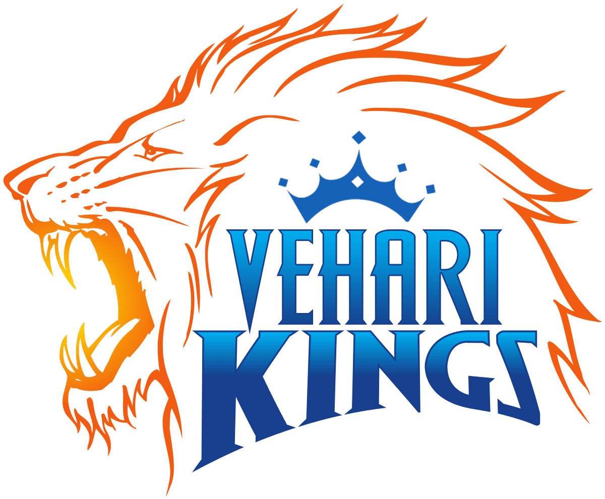 Vehari Kings