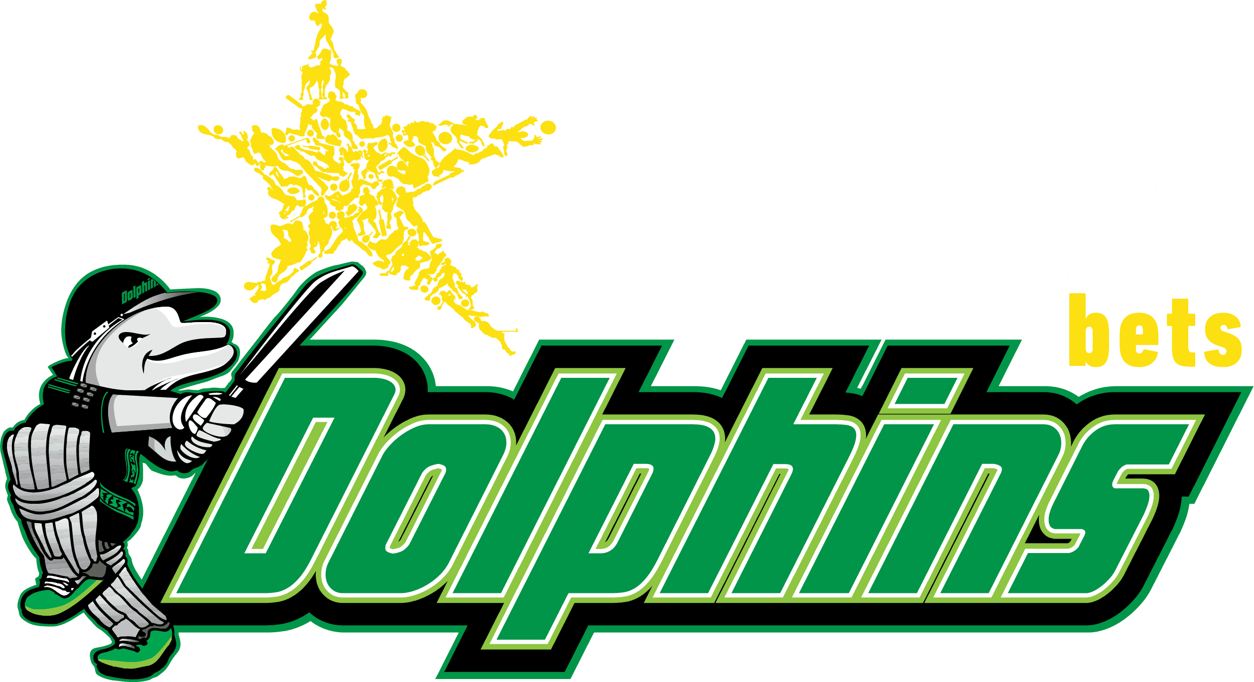 Hollywoodbets Dolphins team logo