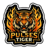 PULSES TIGER