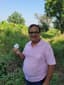 Atul