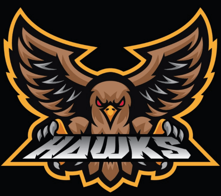 Hawks team logo