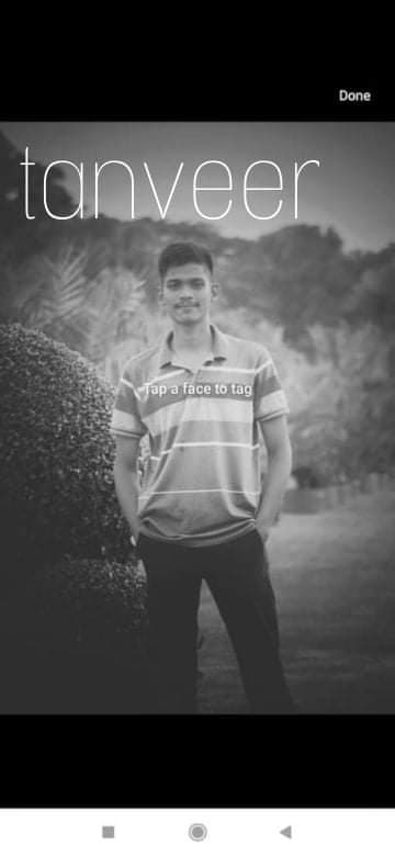 Tanveer