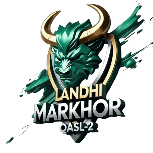 Ashir team logo