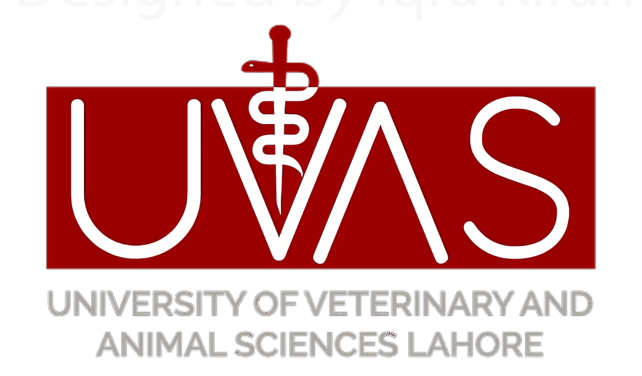 University Of Veterinary And Animal Sciences Lahore team logo